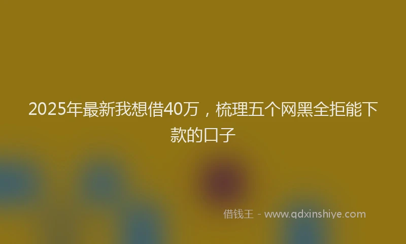 2025年最新我想借40万，梳理五个网黑全拒能下款的口子