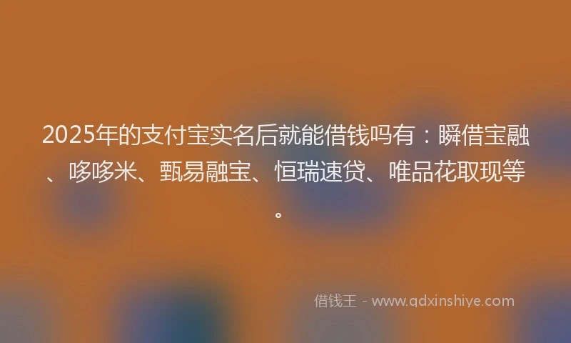2025年的支付宝实名后就能借钱吗有：瞬借宝融、哆哆米、甄易融宝、恒瑞速贷、唯品花取现等。