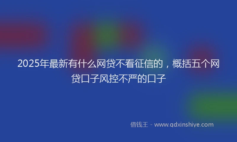 2025年最新有什么网贷不看征信的，概括五个网贷口子风控不严的口子