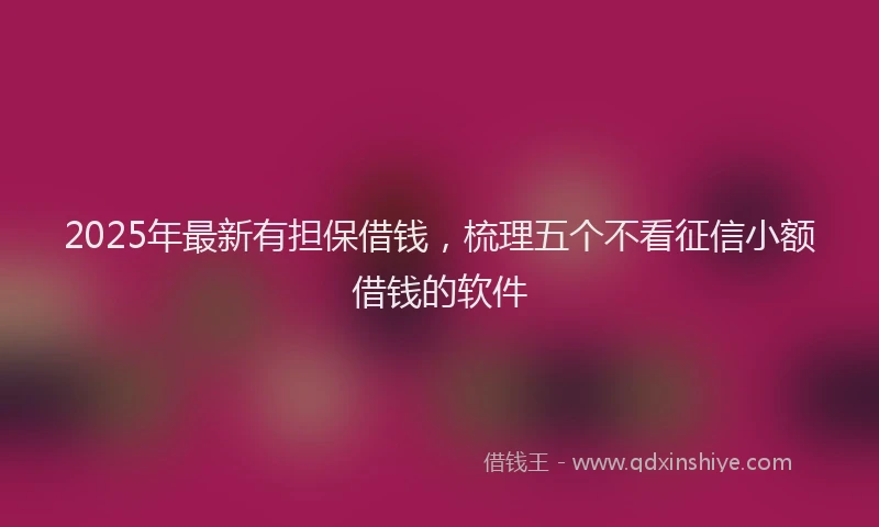 2025年最新有担保借钱，梳理五个不看征信小额借钱的软件