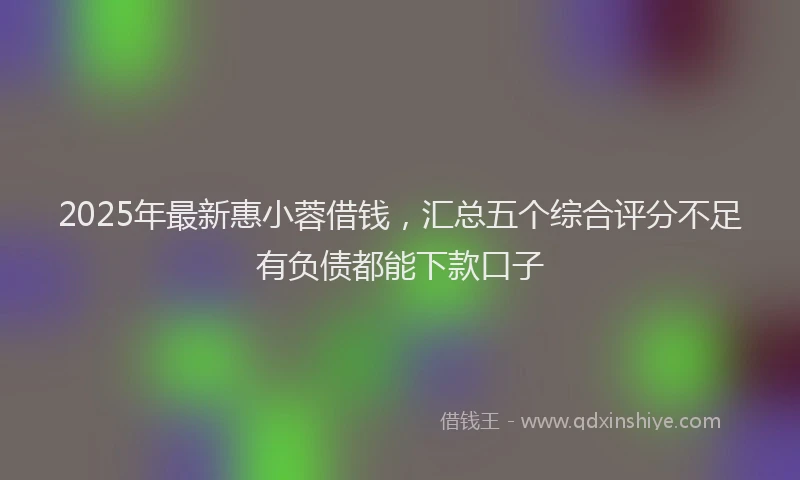 2025年最新惠小蓉借钱，汇总五个综合评分不足有负债都能下款口子