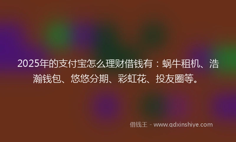 2025年的支付宝怎么理财借钱有：蜗牛租机、浩瀚钱包、悠悠分期、彩虹花、投友圈等。