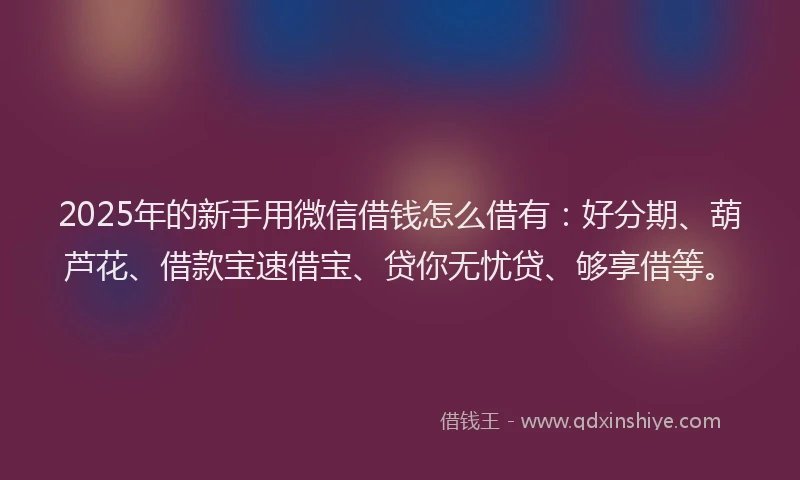 2025年的新手用微信借钱怎么借有:好分期、葫芦花、借款宝速借宝、贷你无忧贷、够享借等。