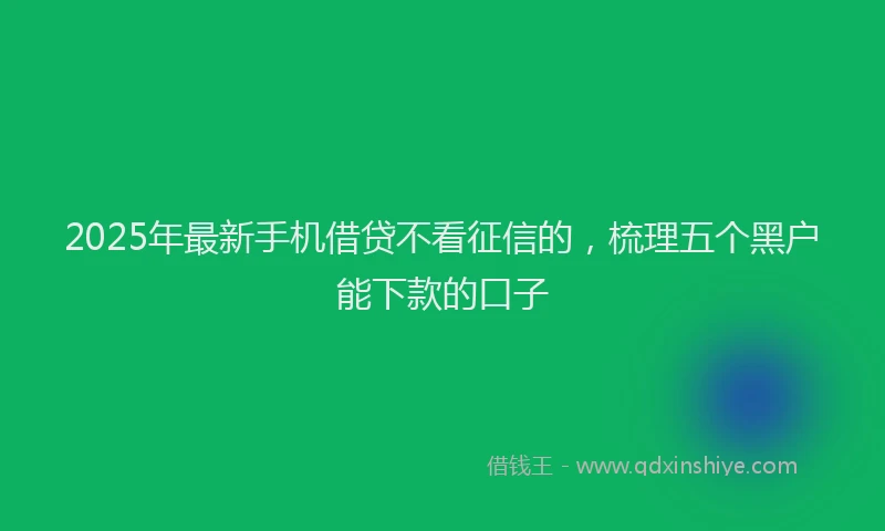 2025年最新手机借贷不看征信的，梳理五个黑户能下款的口子