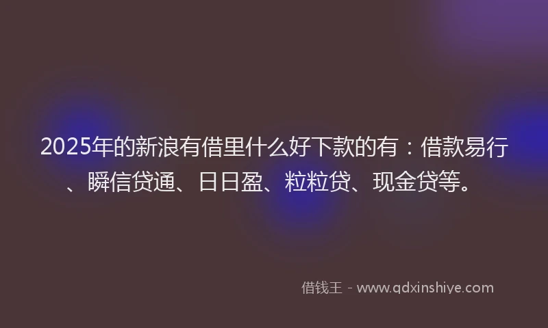 2025年的新浪有借里什么好下款的有：借款易行、瞬信贷通、日日盈、粒粒贷、现金贷等。
