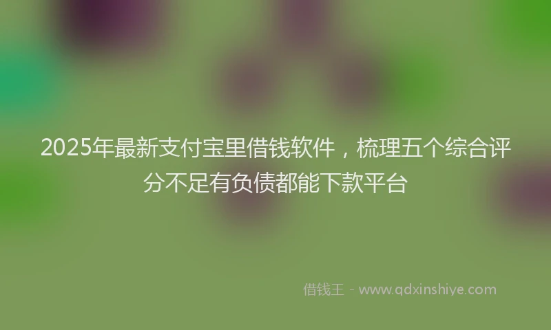 2025年最新支付宝里借钱软件，梳理五个综合评分不足有负债都能下款平台