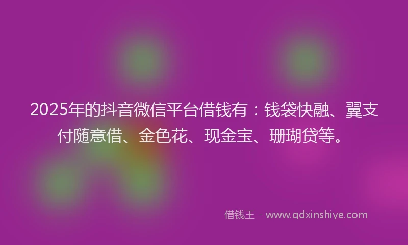 2025年的抖音微信平台借钱有：钱袋快融、翼支付随意借、金色花、现金宝、珊瑚贷等。