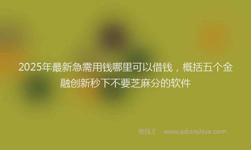 2025年最新急需用钱哪里可以借钱，概括五个金融创新秒下不要芝麻分的软件