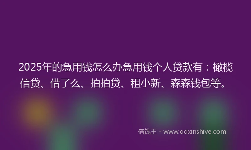 2025年的急用钱怎么办急用钱个人贷款有：橄榄信贷、借了么、拍拍贷、租小新、森森钱包等。