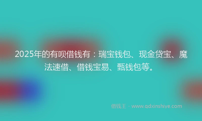 2025年的有呗借钱有:瑞宝钱包、现金贷宝、魔法速借、借钱宝易、甄钱包等。