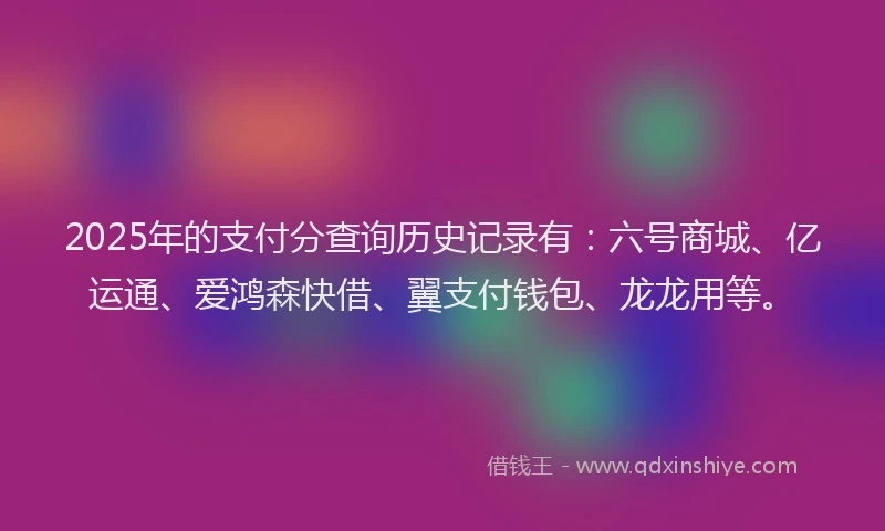 2025年的支付分查询历史记录有：六号商城、亿运通、爱鸿森快借、翼支付钱包、龙龙用等。