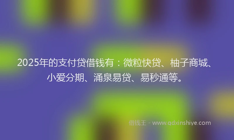 2025年的支付贷借钱有：微粒快贷、柚子商城、小爱分期、涌泉易贷、易秒通等。