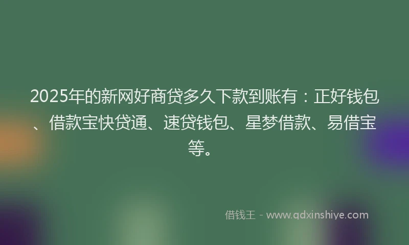 2025年的新网好商贷多久下款到账有：正好钱包、借款宝快贷通、速贷钱包、星梦借款、易借宝等。