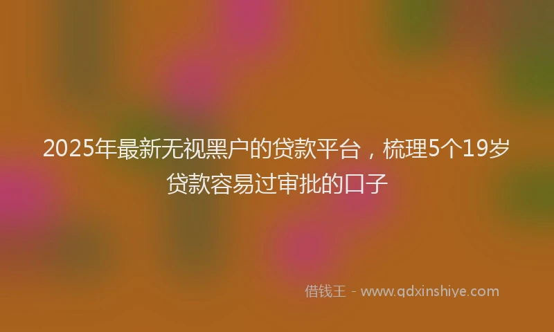 2025年最新无视黑户的贷款平台，梳理5个19岁贷款容易过审批的口子