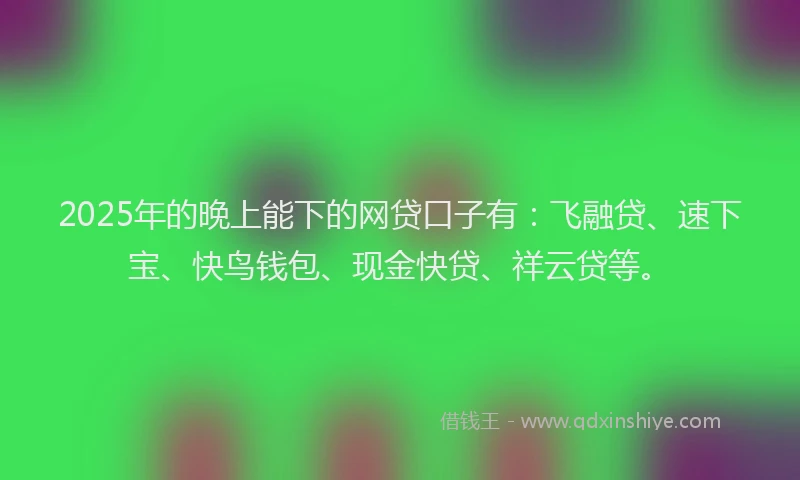 2025年的晚上能下的网贷口子有：飞融贷、速下宝、快鸟钱包、现金快贷、祥云贷等。