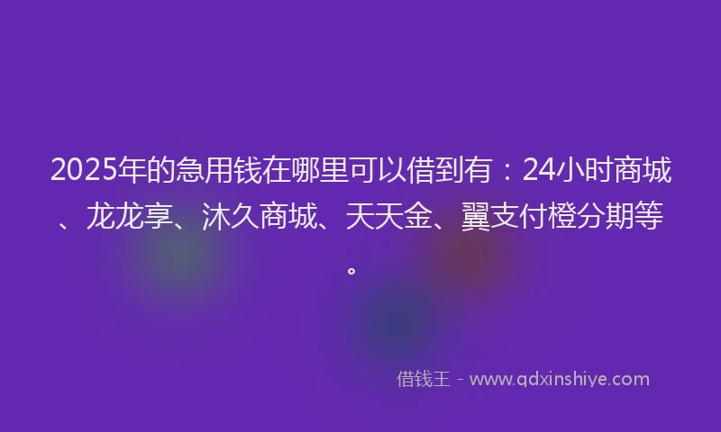 2025年的急用钱在哪里可以借到有：24小时商城、龙龙享、沐久商城、天天金、翼支付橙分期等。