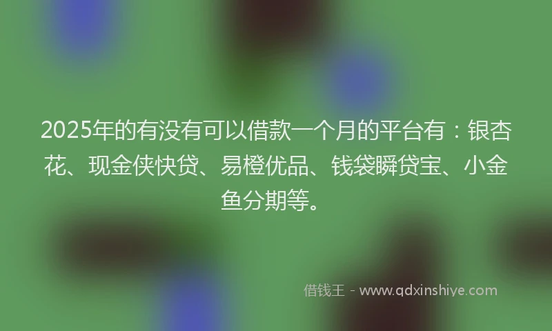 2025年的有没有可以借款一个月的平台有：银杏花、现金侠快贷、易橙优品、钱袋瞬贷宝、小金鱼分期等。