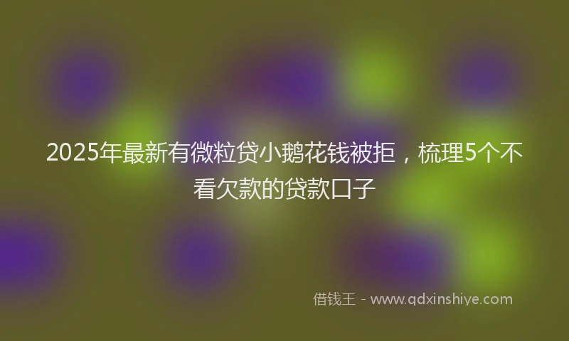 2025年最新有微粒贷小鹅花钱被拒，梳理5个不看欠款的贷款口子