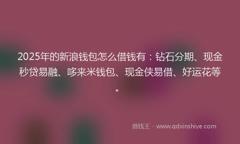 2025年的新浪钱包怎么借钱有：钻石分期、现金秒贷易融、哆来米钱包、现金侠易借、好运花等。