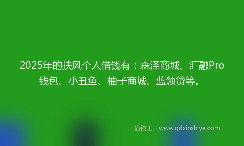 2025年的扶风个人借钱有：森泽商城、汇融Pro钱包、小丑鱼、柚子商城、蓝领贷等。