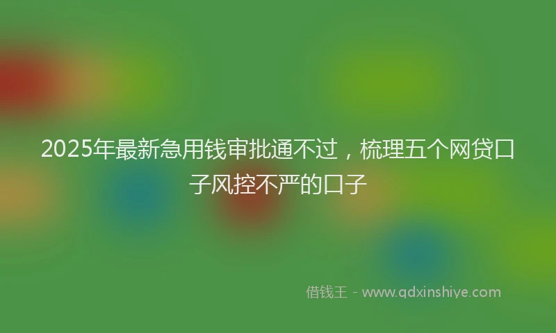 2025年最新急用钱审批通不过，梳理五个网贷口子风控不严的口子
