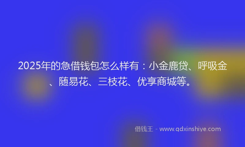 2025年的急借钱包怎么样有：小金鹿贷、呼吸金、随易花、三枝花、优享商城等。