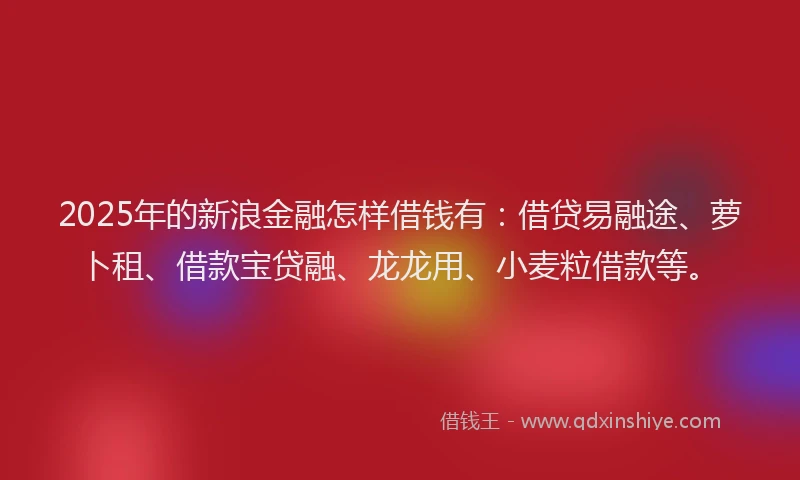 2025年的新浪金融怎样借钱有：借贷易融途、萝卜租、借款宝贷融、龙龙用、小麦粒借款等。