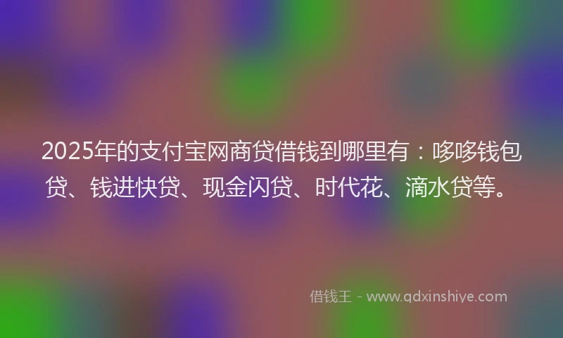 2025年的支付宝网商贷借钱到哪里有：哆哆钱包贷、钱进快贷、现金闪贷、时代花、滴水贷等。