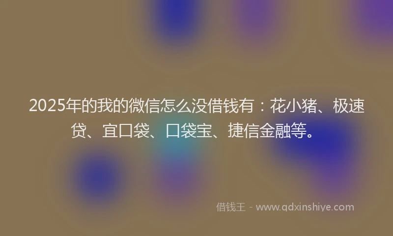2025年的我的微信怎么没借钱有：花小猪、极速贷、宜口袋、口袋宝、捷信金融等。