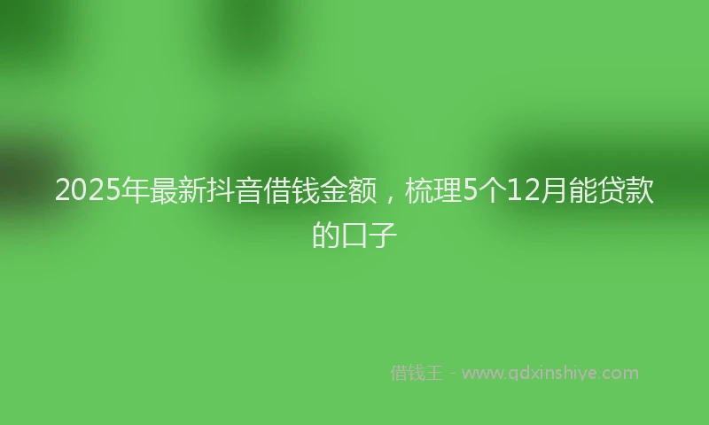 2025年最新抖音借钱金额，梳理5个12月能贷款的口子