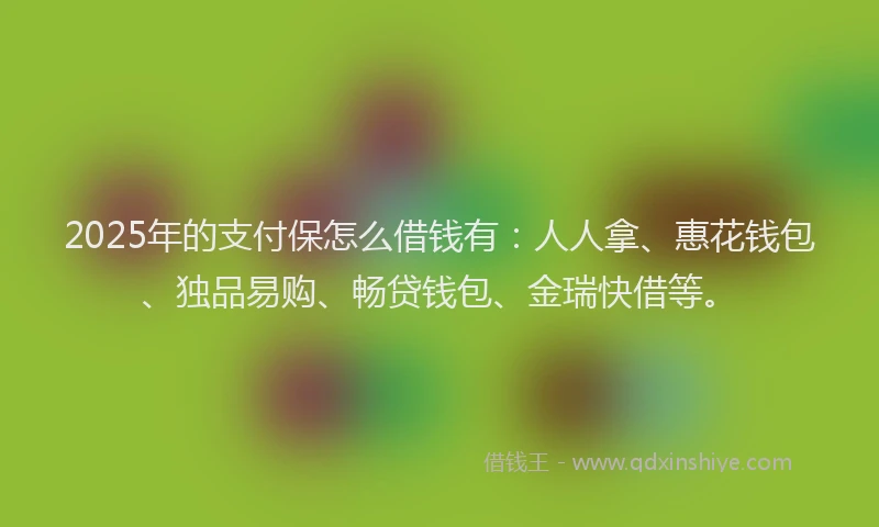 2025年的支付保怎么借钱有：人人拿、惠花钱包、独品易购、畅贷钱包、金瑞快借等。