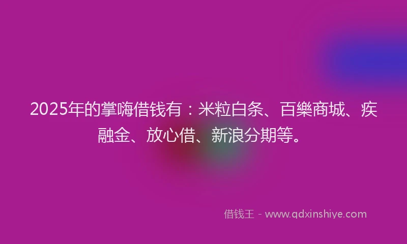 2025年的掌嗨借钱有：米粒白条、百樂商城、疾融金、放心借、新浪分期等。