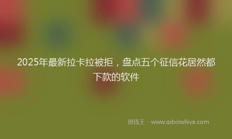 2025年最新拉卡拉被拒，盘点五个征信花居然都下款的软件