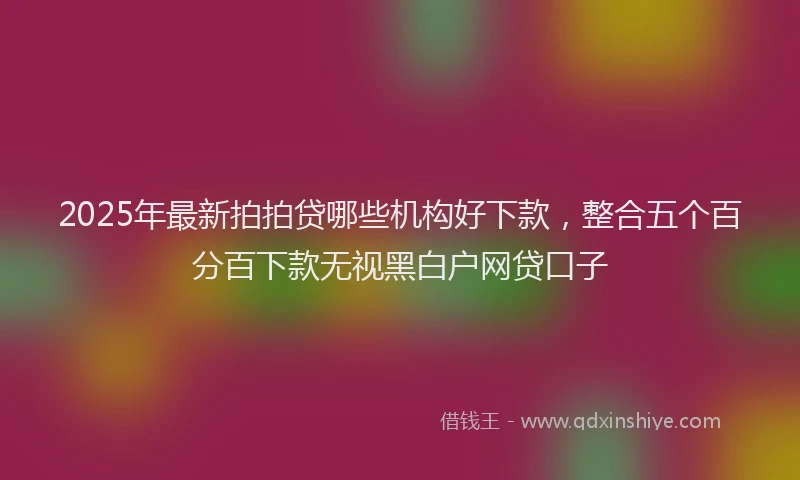 2025年最新拍拍贷哪些机构好下款，整合五个百分百下款无视黑白户网贷口子