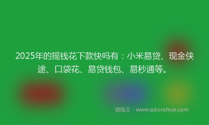 2025年的摇钱花下款快吗有：小米易贷、现金侠途、口袋花、易贷钱包、易秒通等。