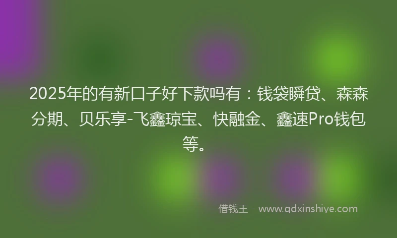 2025年的有新口子好下款吗有：钱袋瞬贷、森森分期、贝乐享-飞鑫琼宝、快融金、鑫速Pro钱包等。