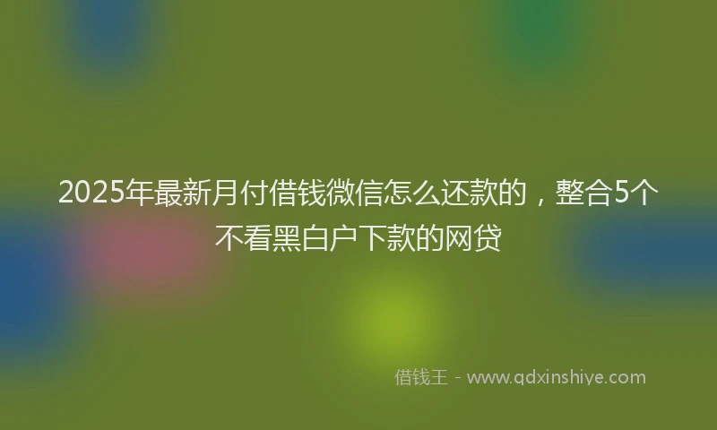 2025年最新月付借钱微信怎么还款的，整合5个不看黑白户下款的网贷