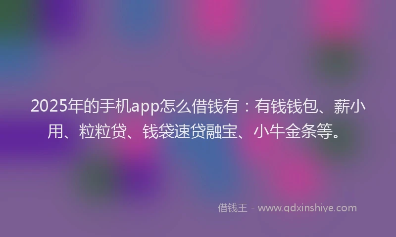 2025年的手机app怎么借钱有：有钱钱包、薪小用、粒粒贷、钱袋速贷融宝、小牛金条等。