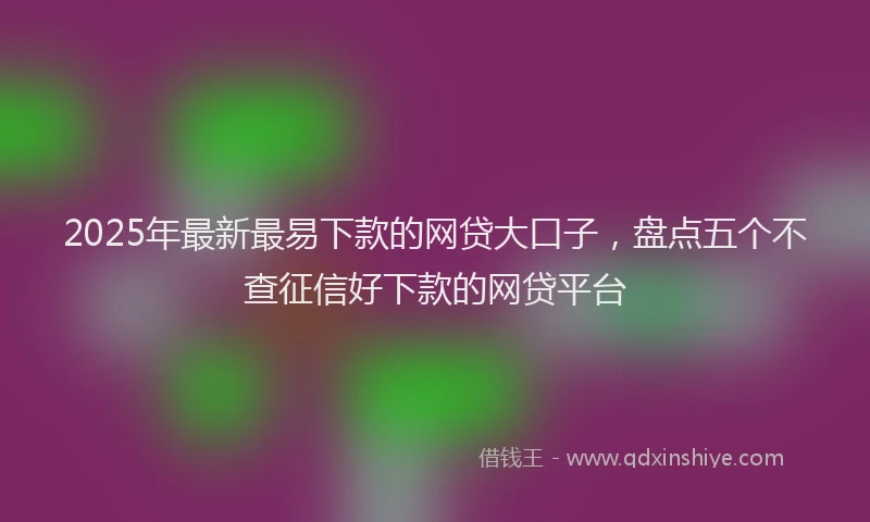 2025年最新最易下款的网贷大口子，盘点五个不查征信好下款的网贷平台