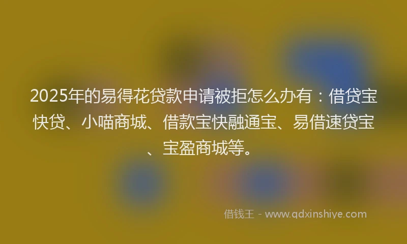 2025年的易得花贷款申请被拒怎么办有：借贷宝快贷、小喵商城、借款宝快融通宝、易借速贷宝、宝盈商城等。