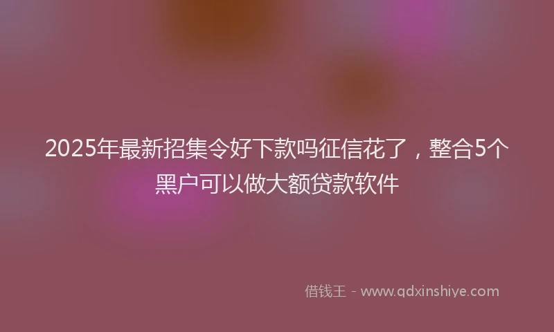 2025年最新招集令好下款吗征信花了，整合5个黑户可以做大额贷款软件