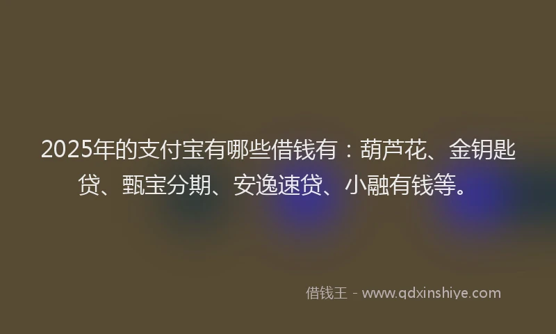 2025年的支付宝有哪些借钱有:葫芦花、金钥匙贷、甄宝分期、安逸速贷、小融有钱等。