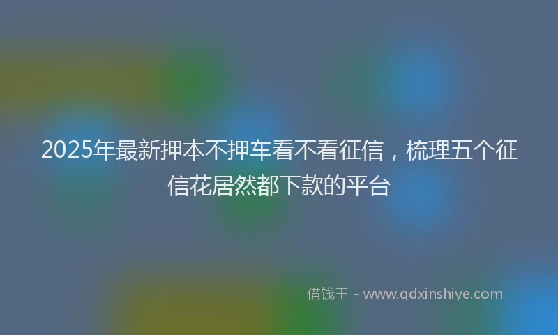 2025年最新押本不押车看不看征信，梳理五个征信花居然都下款的平台