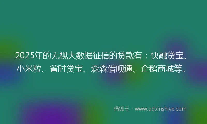 2025年的无视大数据征信的贷款有：快融贷宝、小米粒、省时贷宝、森森借呗通、企鹅商城等。