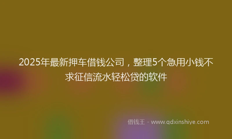 2025年最新押车借钱公司，整理5个急用小钱不求征信流水轻松贷的软件