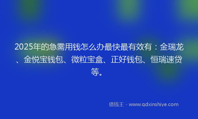 2025年的急需用钱怎么办最快最有效有：金瑞龙、金悦宝钱包、微粒宝盒、正好钱包、恒瑞速贷等。