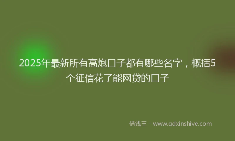 2025年最新所有高炮口子都有哪些名字，概括5个征信花了能网贷的口子