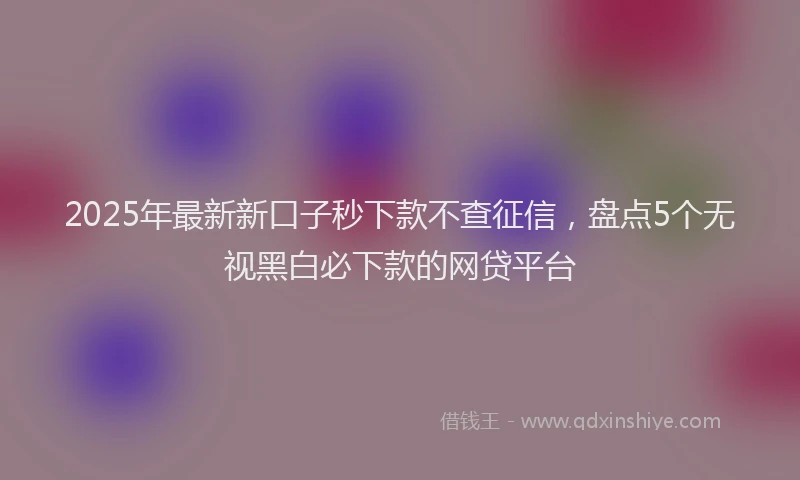 2025年最新新口子秒下款不查征信，盘点5个无视黑白必下款的网贷平台
