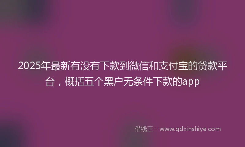 2025年最新有没有下款到微信和支付宝的贷款平台,概括五个黑户无条件下款的app