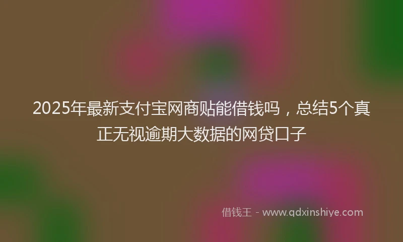 2025年最新支付宝网商贴能借钱吗，总结5个真正无视逾期大数据的网贷口子